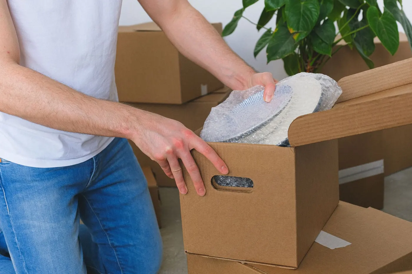 Sorgfältiges Verpacken von Geschirr für den Wohnungswechsel